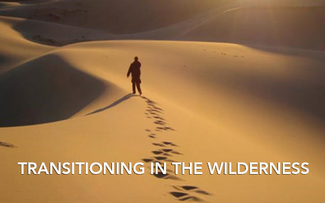 Transitioning In The Wilderness