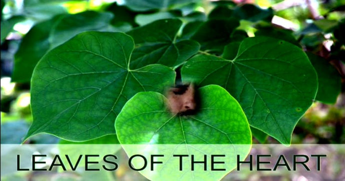 Leaves Of The Heart