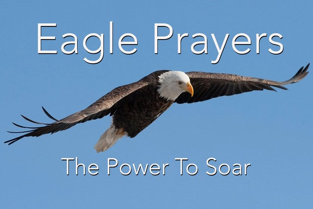 Eagle Prayer The Power To Sour