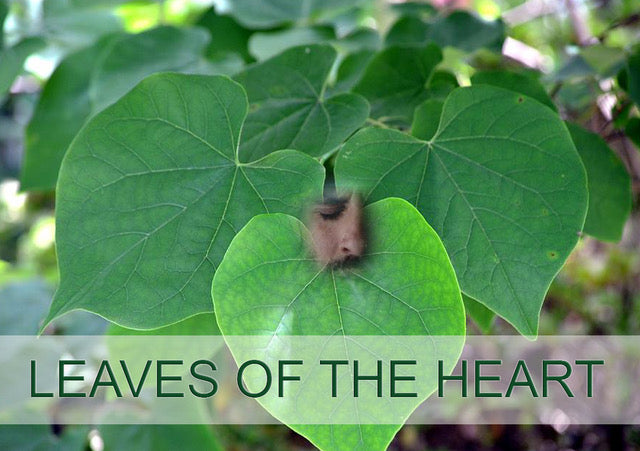 Leaves Of The Heart